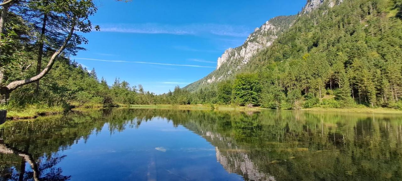 Апартаменти Laerche 2 - Chiemgaukarte Inklusive- Інцель Екстер'єр фото